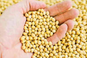 Soy Supplements and breast cancer