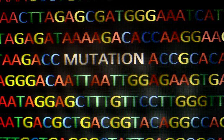 Kataegis is a phenomenon where clusters of mutations in a number of hotspots are found in a genome — a frequent occurrence in breast cancer.