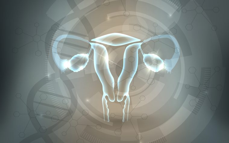 BRCA1 gene mutation increases risk of aggressive uterine cancer