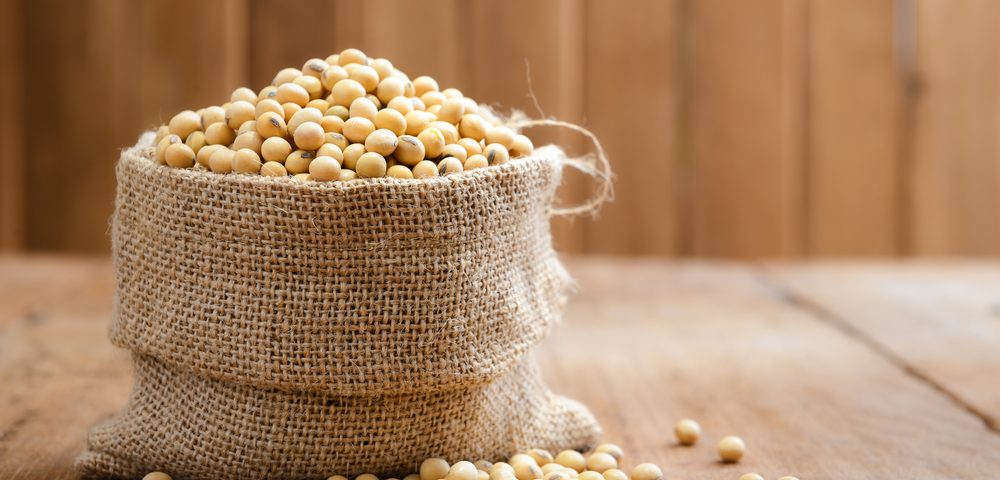 Soy Has a Protective Effect in Certain Breast Cancer Patients, Study Shows