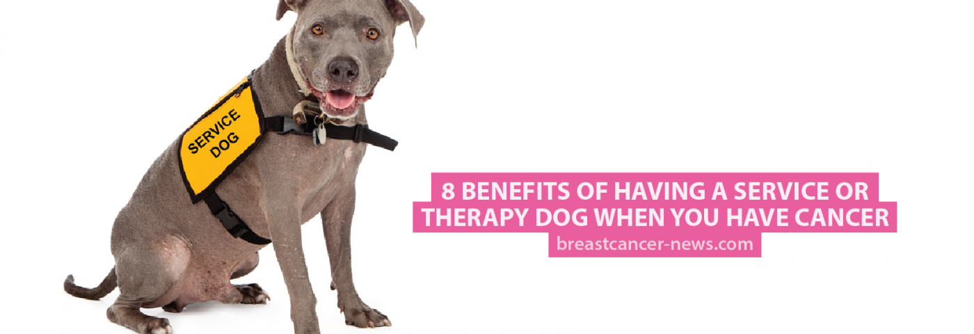 8 Benefits of Having a Service or Therapy Dog When You Have Cancer