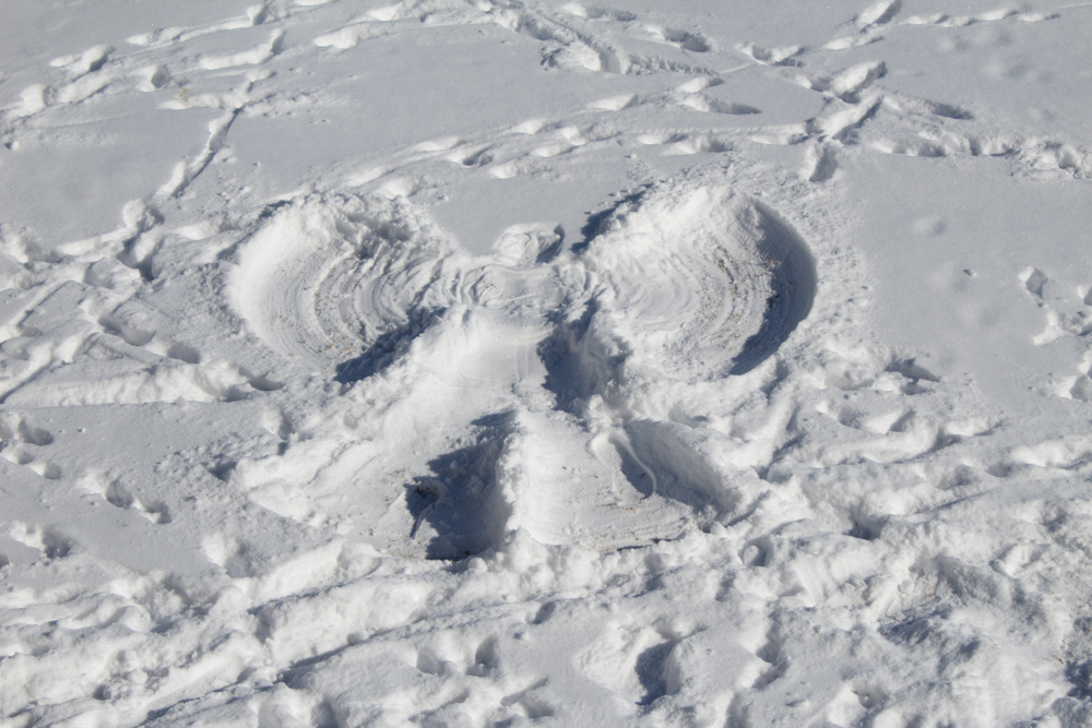 Snow tell
